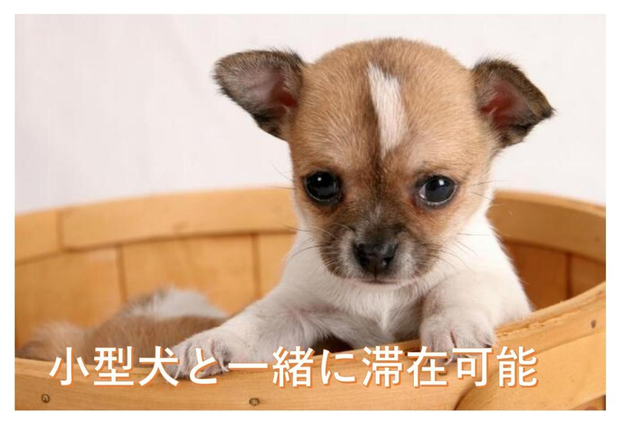 観光や仕事に便利ｻｰﾋﾞｽｱﾊﾟｰﾄﾒﾝﾄ札幌さくら2-2小型犬滞在可能 Apartment Toyohira Luaran gambar